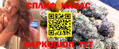 твердый Моздок